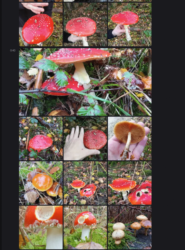 20251125070458796-da5ba67f83a2523680e853b43b4cd436