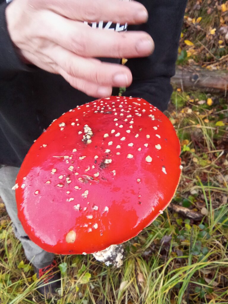 20251125070740959-IMG_20251101_145259