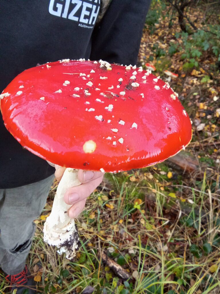 20251125070754988-IMG_20251101_145303